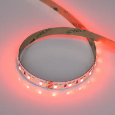 Лента RT-A168-10mm 24V RGBW-Day (20 W/m, IP20, 5m) (Arlight, высок.эфф.150 лм/Вт)