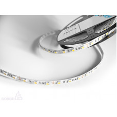 Светодиодная лента LP IP22 5050/60 LED (зеленый, econom, 12)