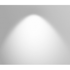 Модуль светодиодный для светильника COMBO2-BASE1-NW-N, 12Вт, 4000К нейтральный белый без драйвера SL00-00011769 COMBO2-BASE1-NW-N